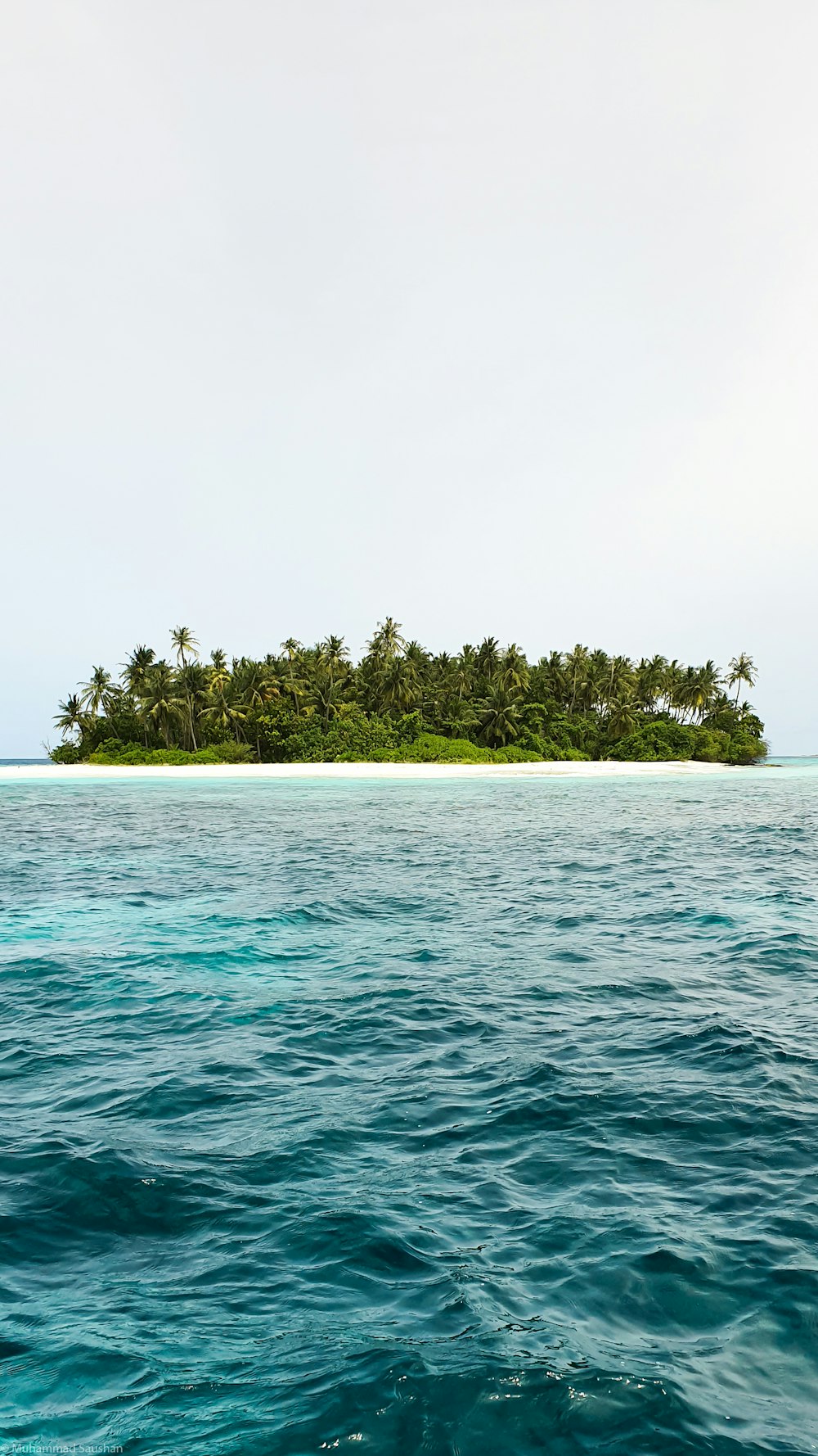 낮에는 물로 둘러싸인 섬의 푸른 나무