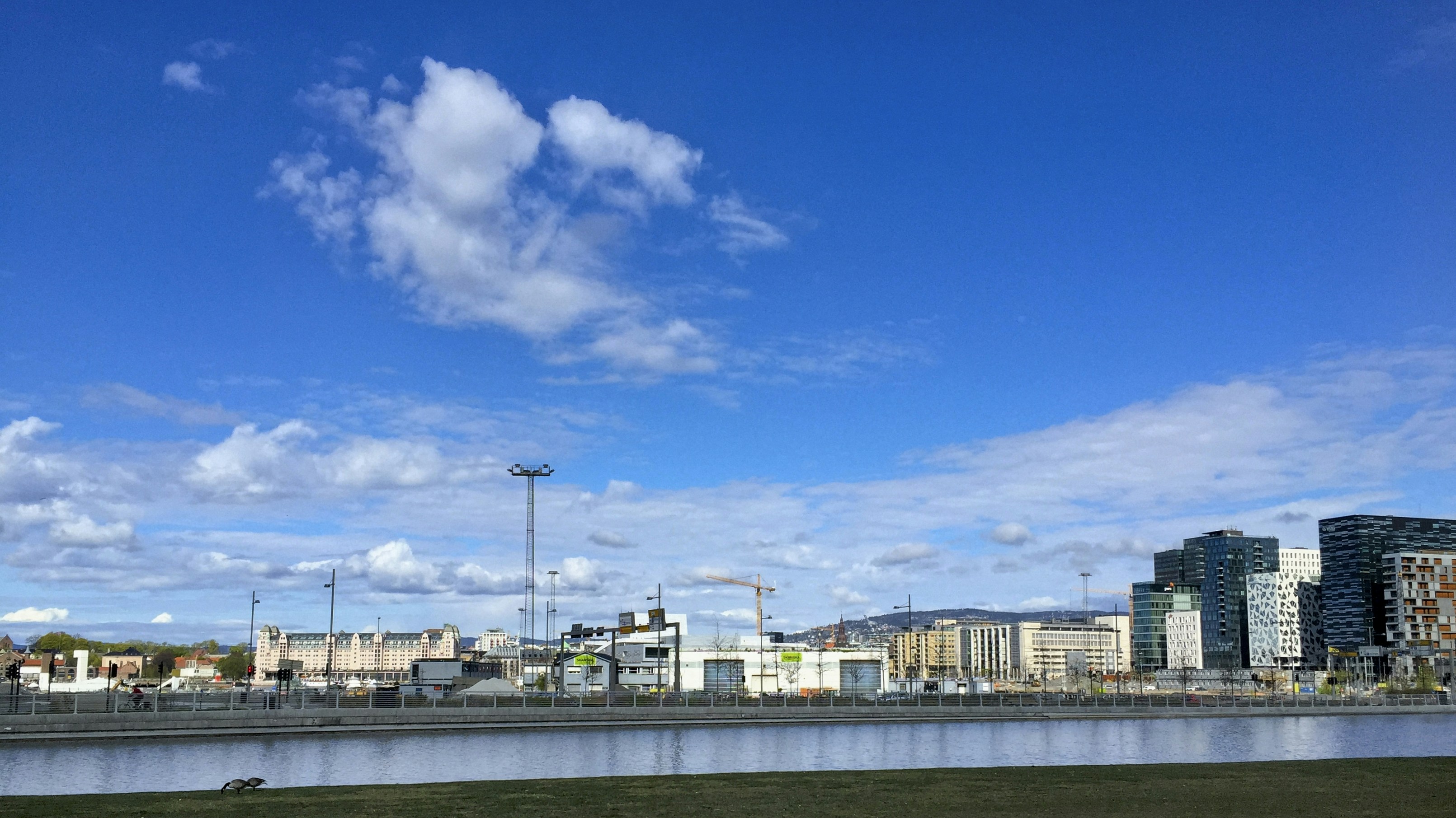 Photo by gunnarridder