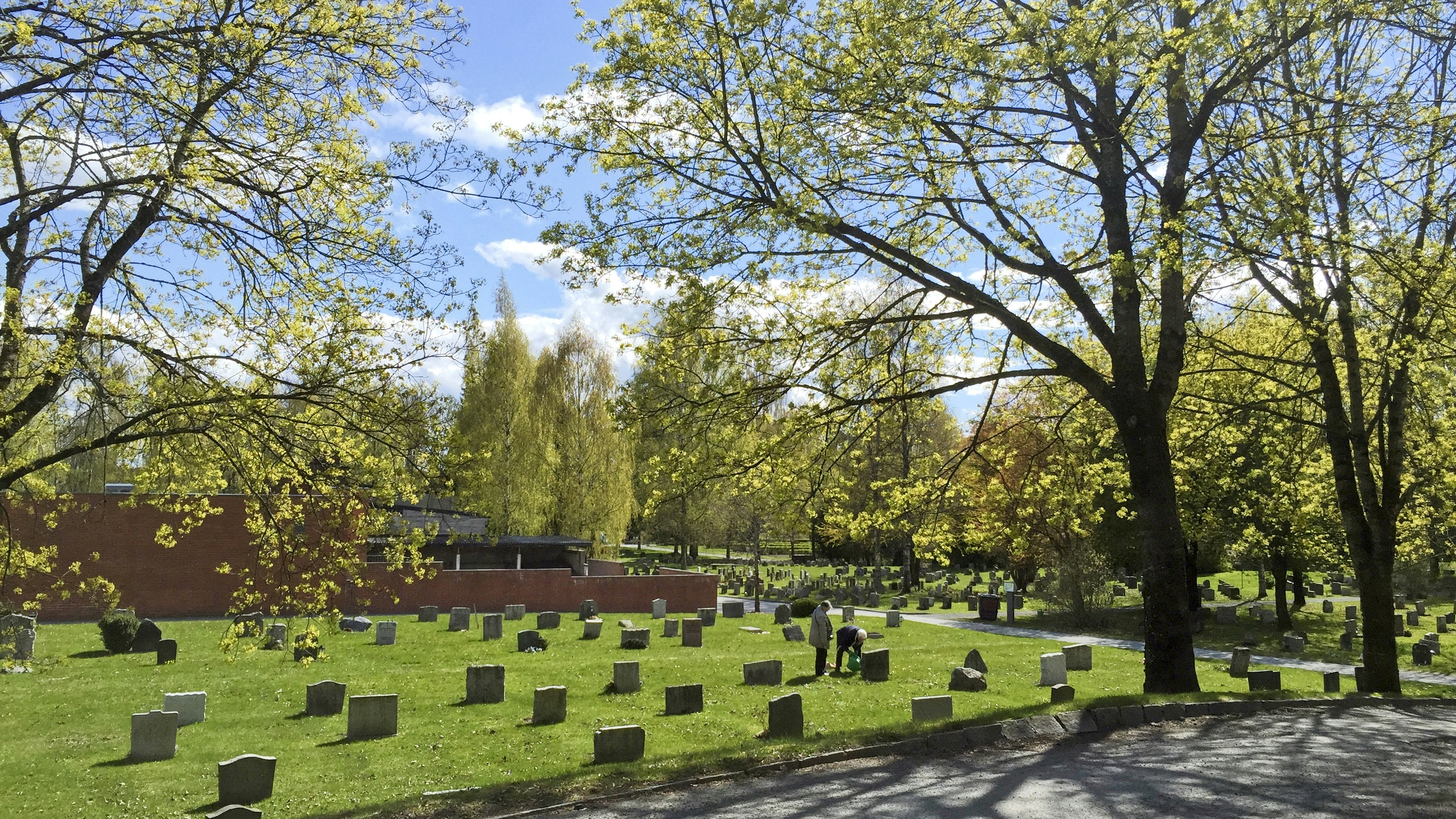 Photo by gunnarridder