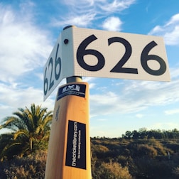 A large cricket bat stands upright with a sign displaying the number 626 affixed to its handle. The bat features a sticker from thecricketlibrary.com, promoting their love for cricket books. In the background, a palm tree and expansive shrubbery stretch under a vibrant blue sky with scattered clouds.