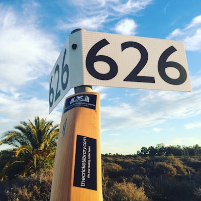 A large cricket bat stands upright with a sign displaying the number 626 affixed to its handle. The bat features a sticker from thecricketlibrary.com, promoting their love for cricket books. In the background, a palm tree and expansive shrubbery stretch under a vibrant blue sky with scattered clouds.