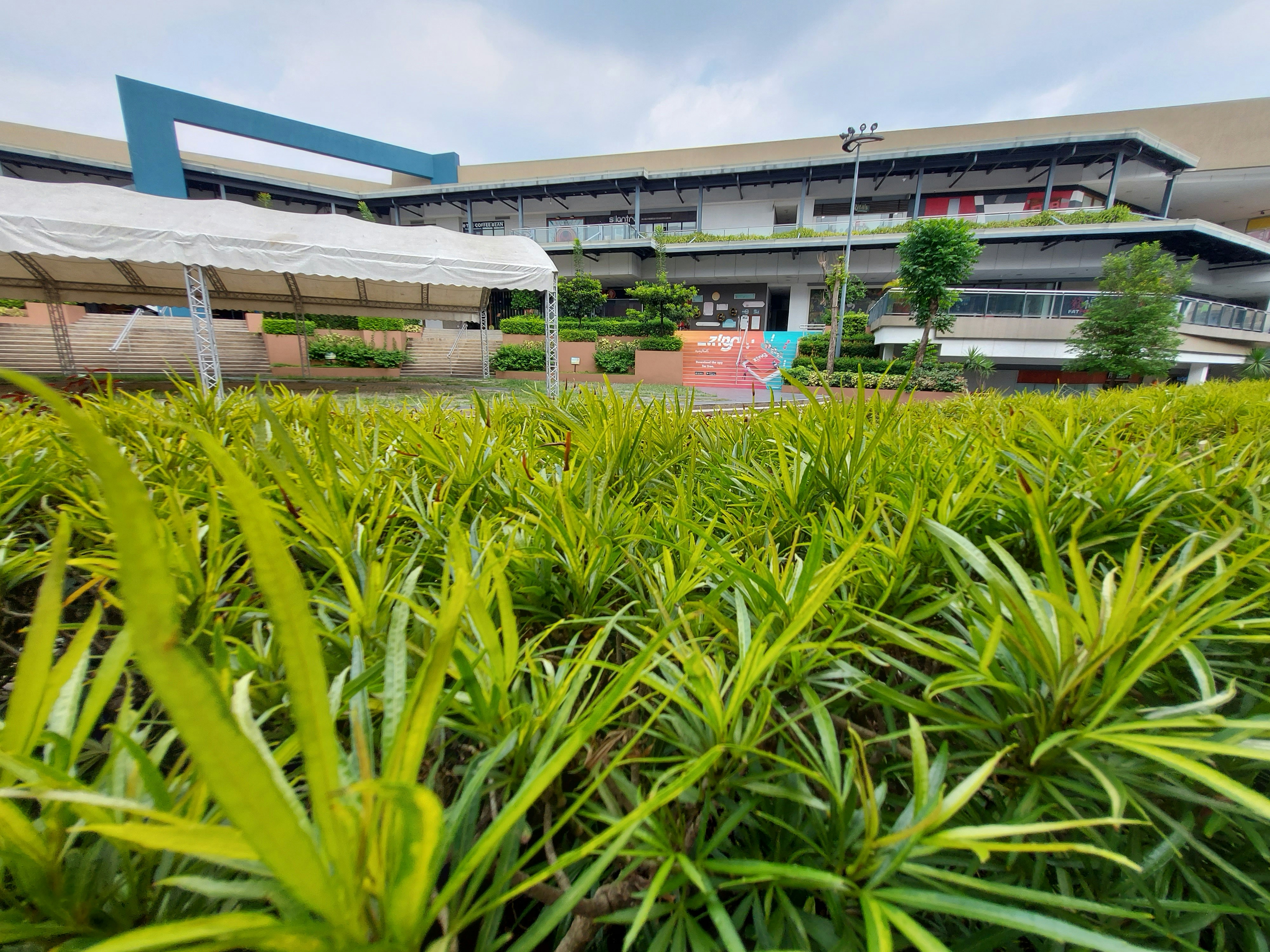 Luscious Floral Arrangements for You