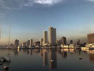 city skyline across body of water during daytime