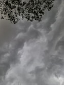 Dark, stormy clouds fill the sky with a heavy and turbulent appearance. The silhouette of tree branches and leaves are visible at the top of the image, suggesting a stormy or overcast weather.