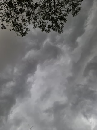 Dark, stormy clouds fill the sky with a heavy and turbulent appearance. The silhouette of tree branches and leaves are visible at the top of the image, suggesting a stormy or overcast weather.