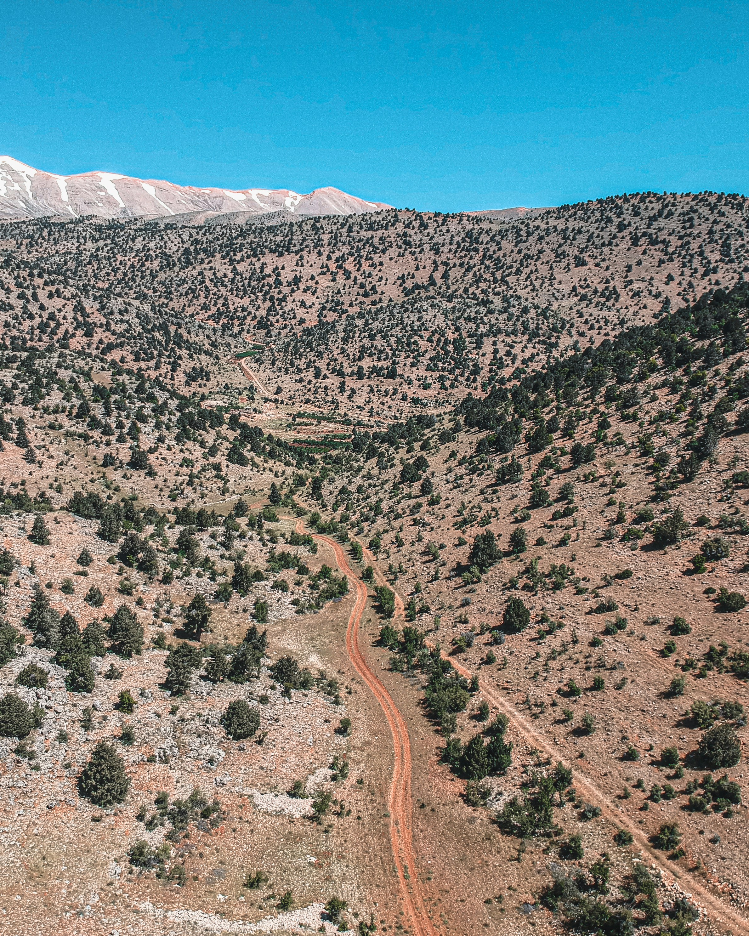 Photo by contentbyemile