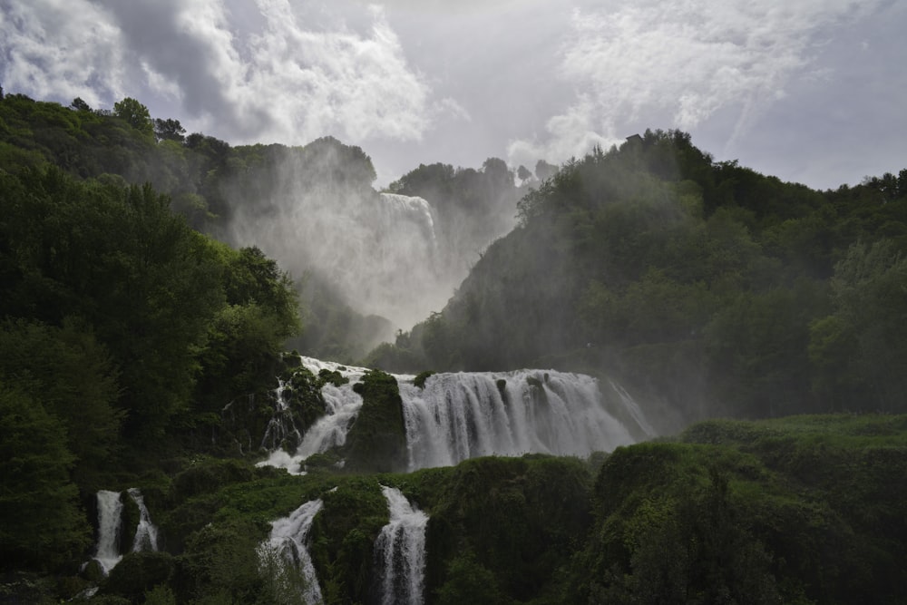 waterfalls in the middle of green trees