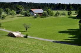 A serene countryside landscape with a white house featuring a red roof and solar panels, surrounded by lush green fields and trees. In the foreground, a neatly stacked pile of logs is situated by a narrow road, leading towards the house. A dense forest in the background adds a sense of depth.