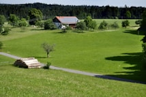 A serene countryside landscape with a white house featuring a red roof and solar panels, surrounded by lush green fields and trees. In the foreground, a neatly stacked pile of logs is situated by a narrow road, leading towards the house. A dense forest in the background adds a sense of depth.
