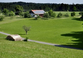 white and brown wooden house on green grass field during daytime