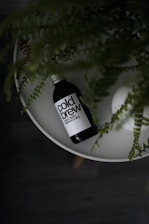 black and white bottle on green plant