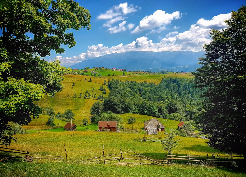 brown wooden house on green grass field during daytime