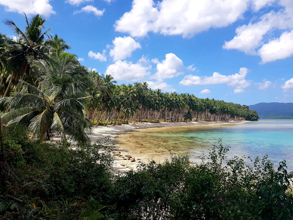Untamed wild coastlines and emerald limestone tidal lagoons in Sumba