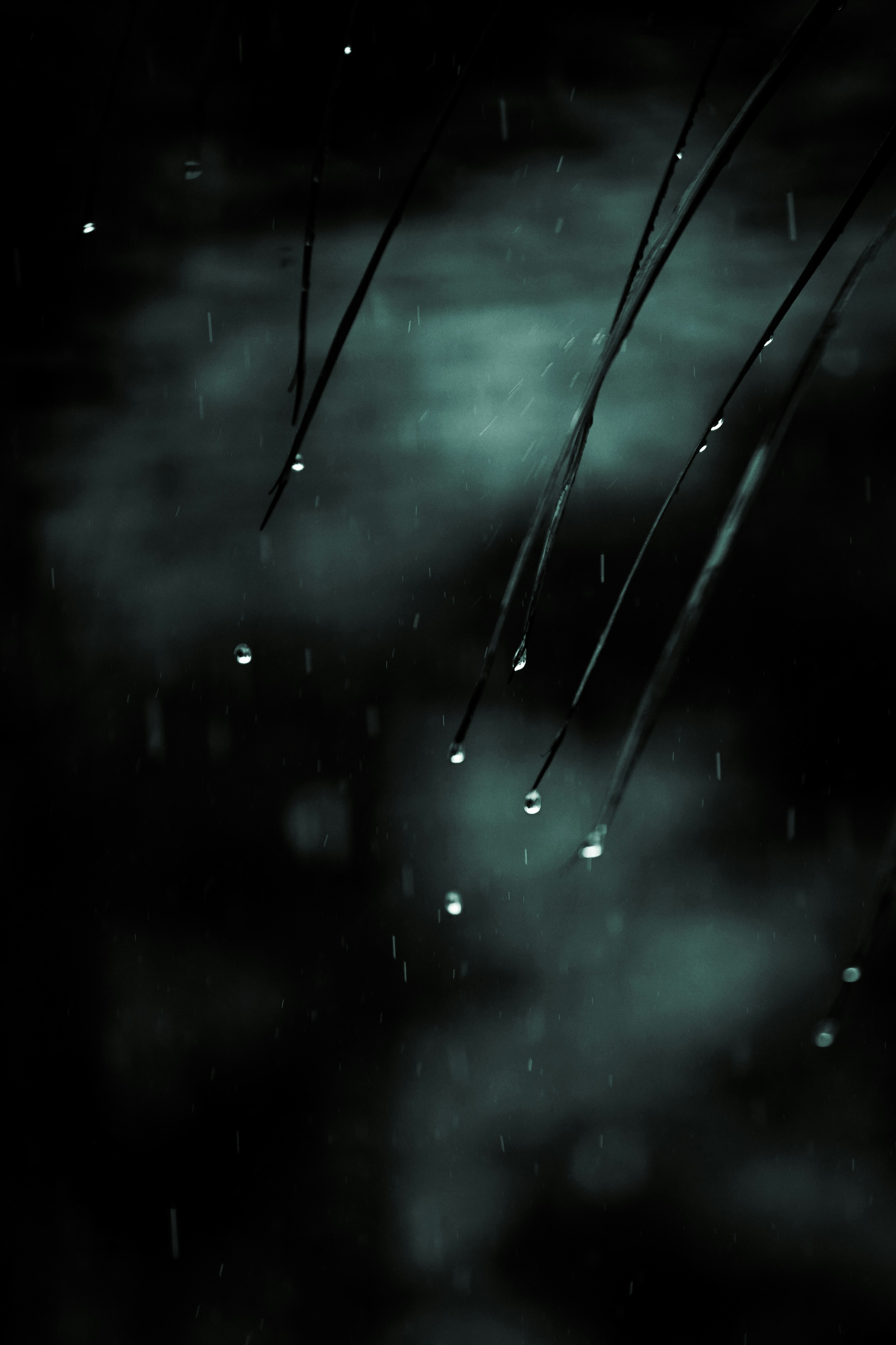 Photo by imthiyas_iqbal