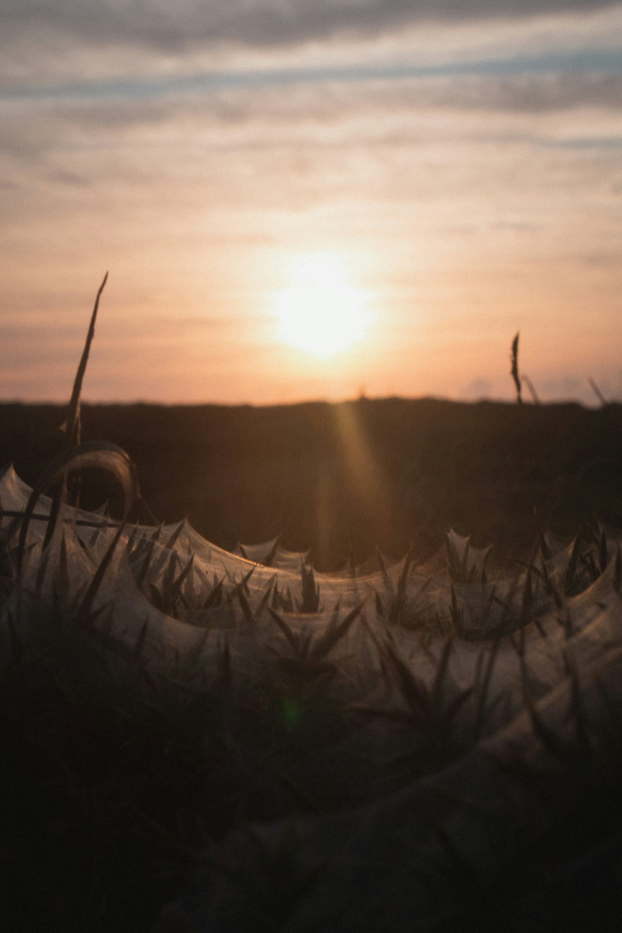 Photo by nicolaspeyrol