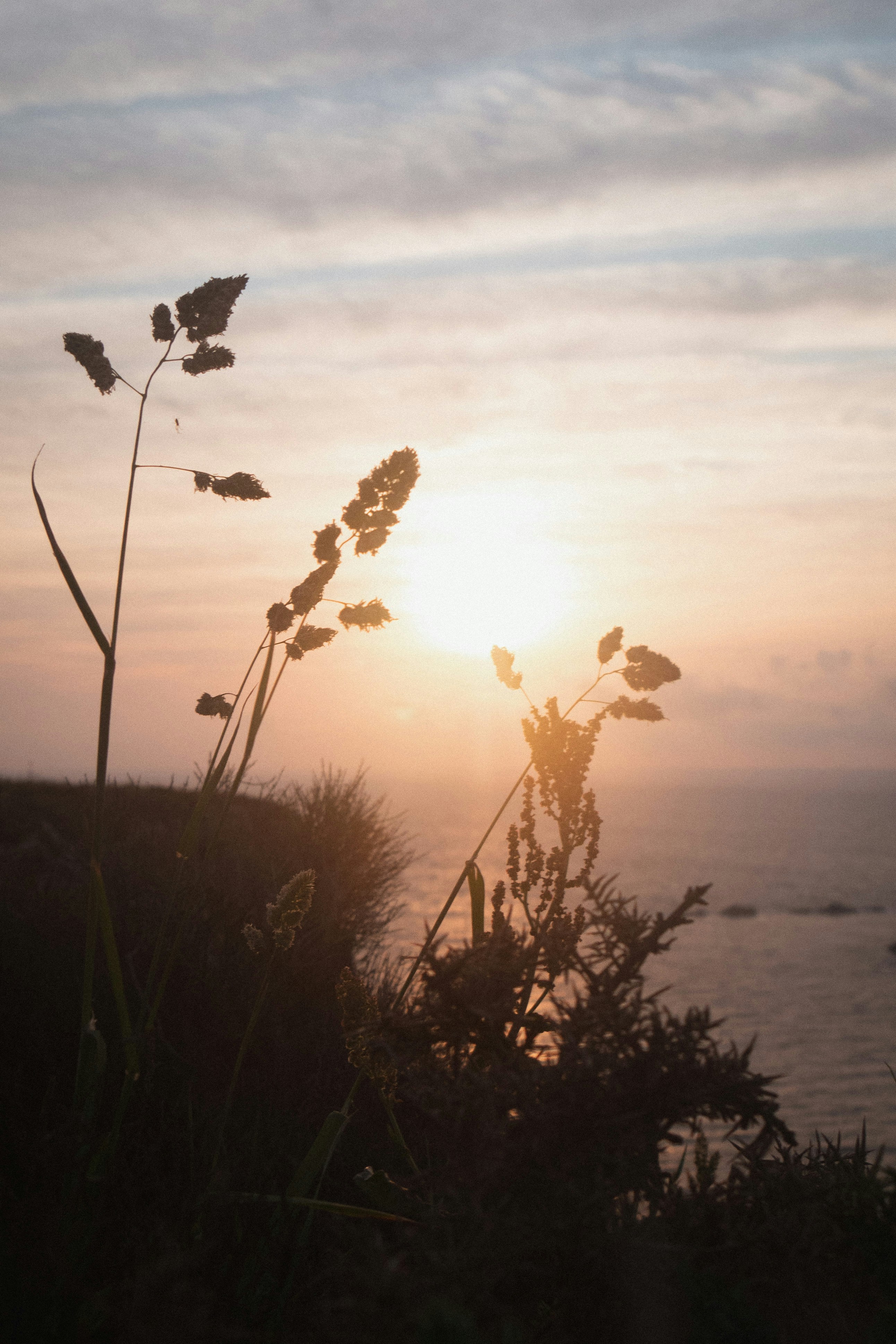 Photo by nicolaspeyrol