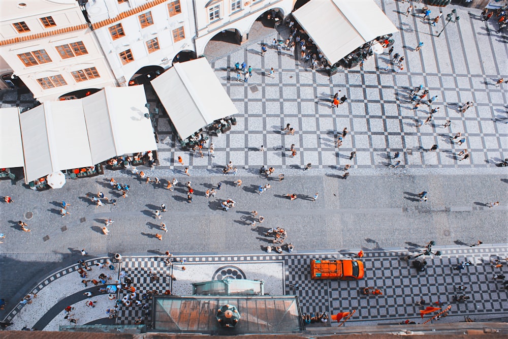 people walking on street during daytime