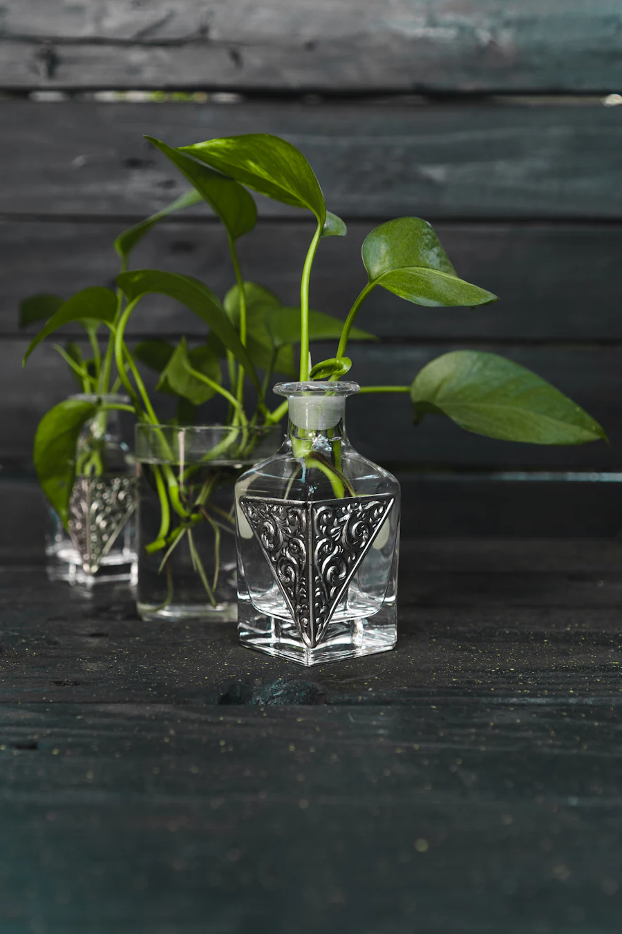 Vetiver Blanc