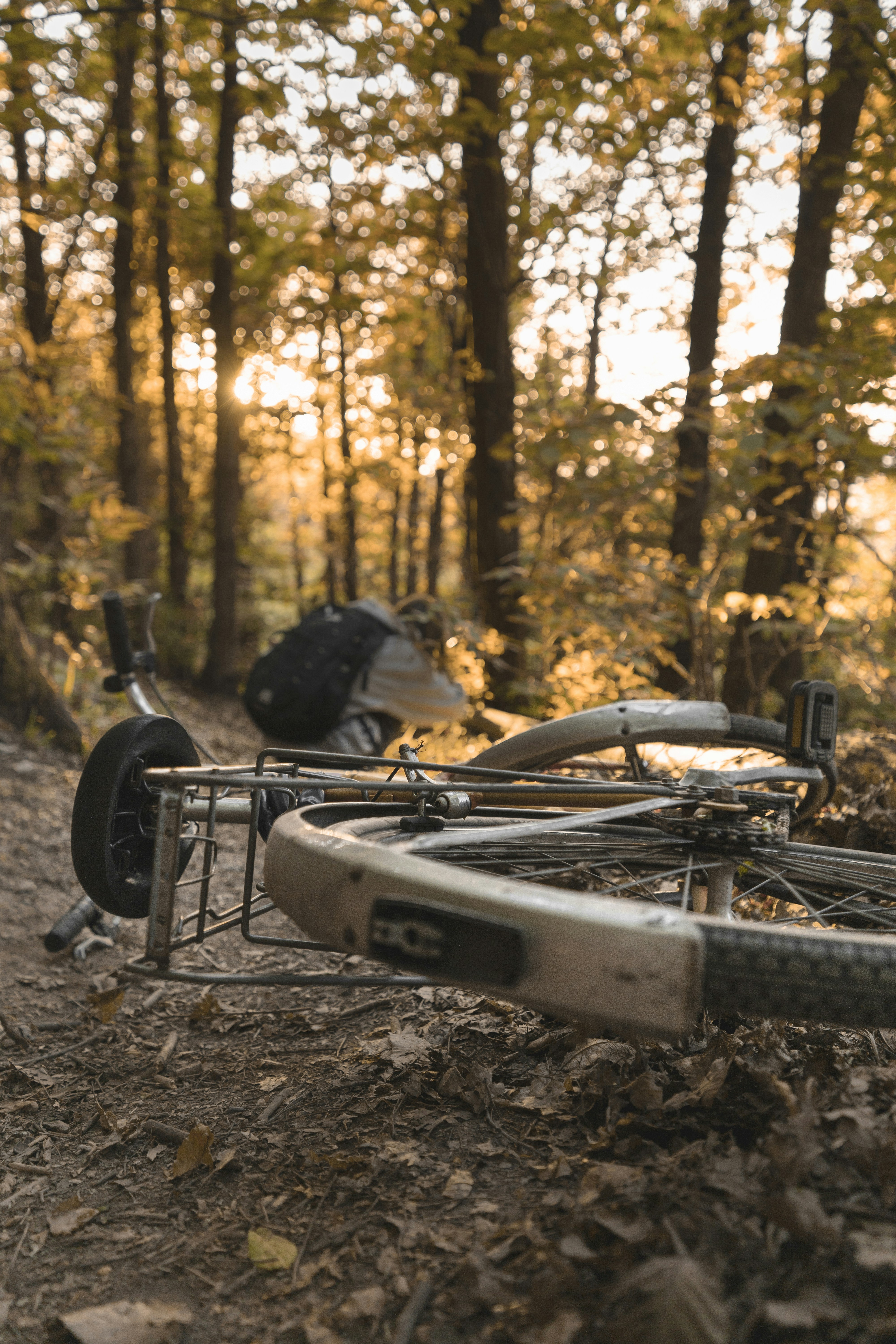 black bicycle on forest during daytime
