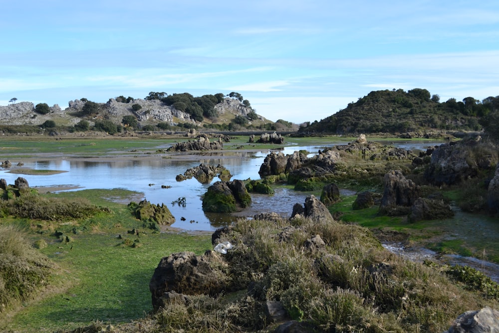 campo di erba verde vicino al lago sotto il cielo blu durante il giorno