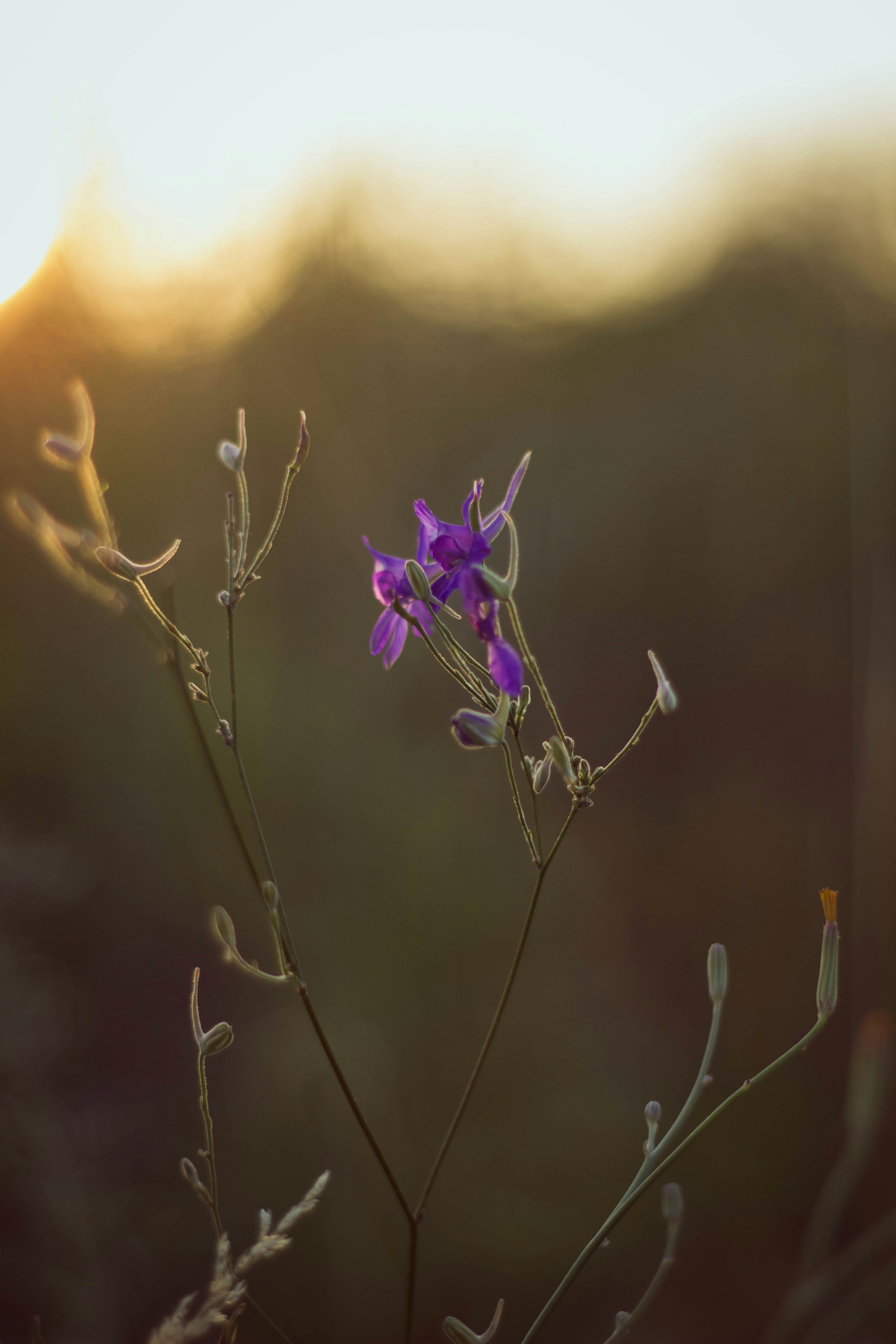 Photo by annasbond