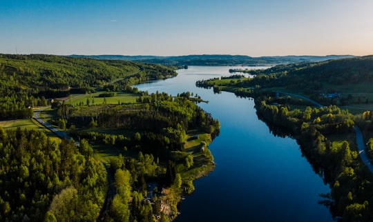 green trees near body of water during daytime in Sundsvall Sweden