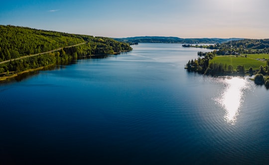 green trees beside body of water during daytime in Matfors Sweden