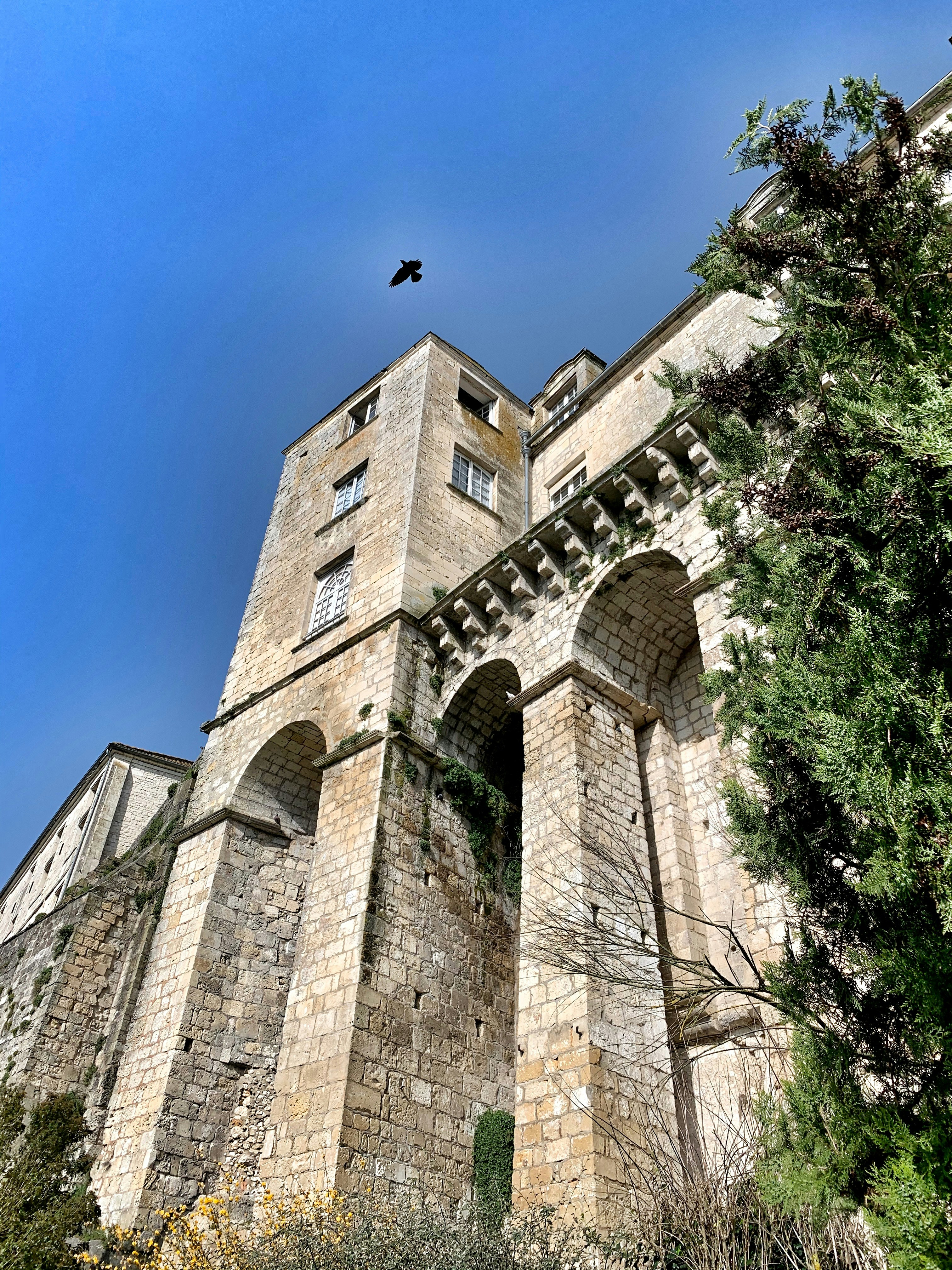 Photo by bartochette