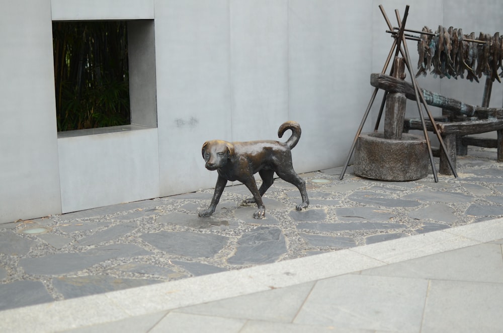 brown and black short coated dog walking on sidewalk during daytime