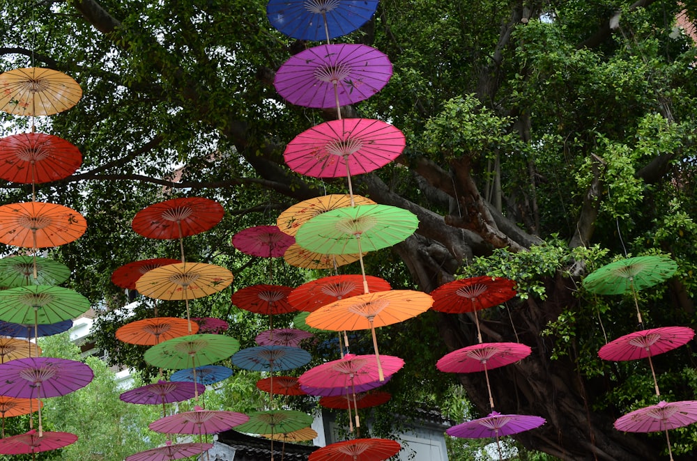 red and yellow umbrella on gray concrete floor