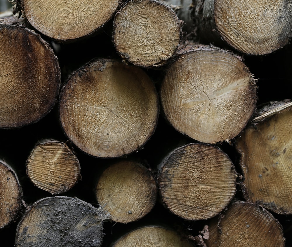 brown and gray wood logs