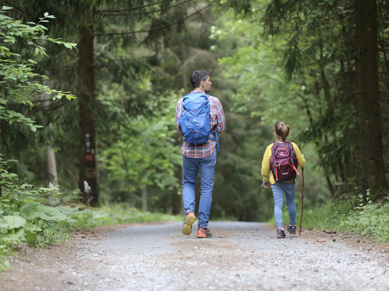 Children exploring a forest trail with a nature counsellor