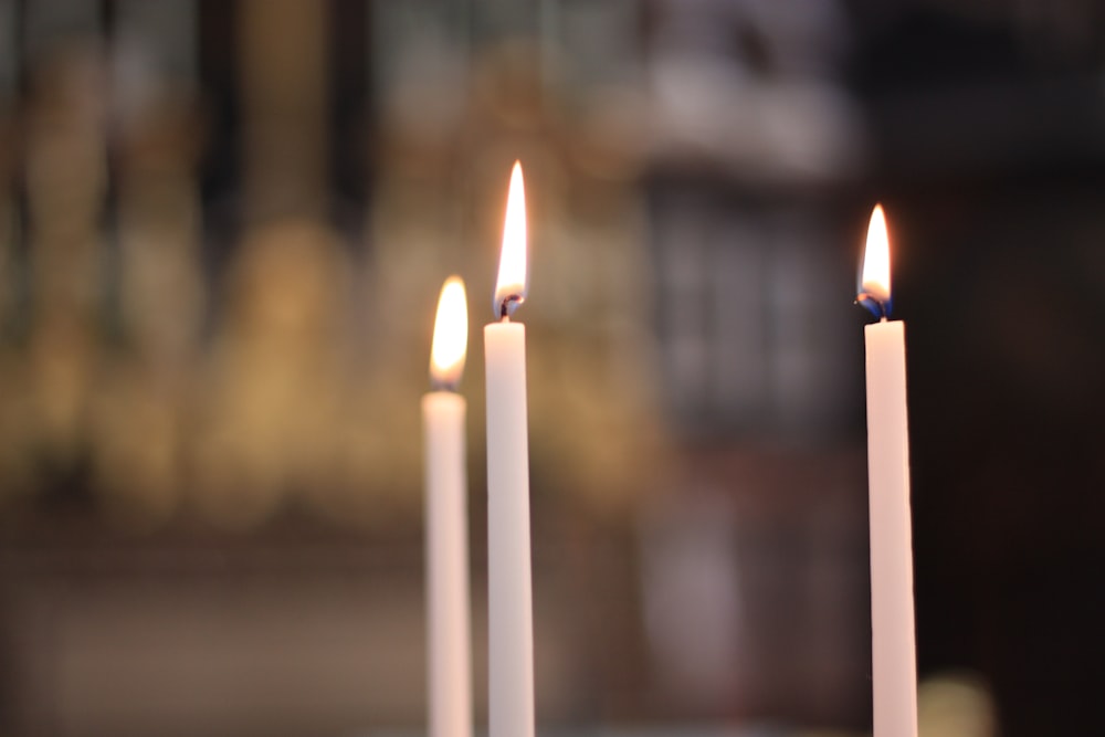 white candles in tilt shift lens