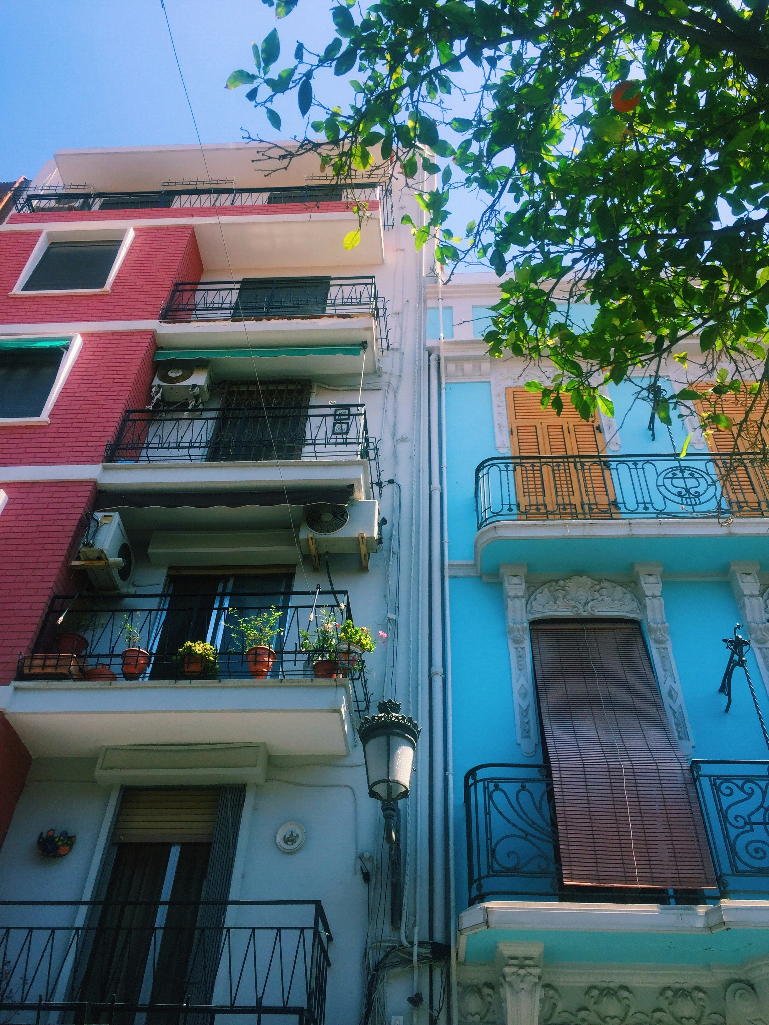 Photo by conniegarrad