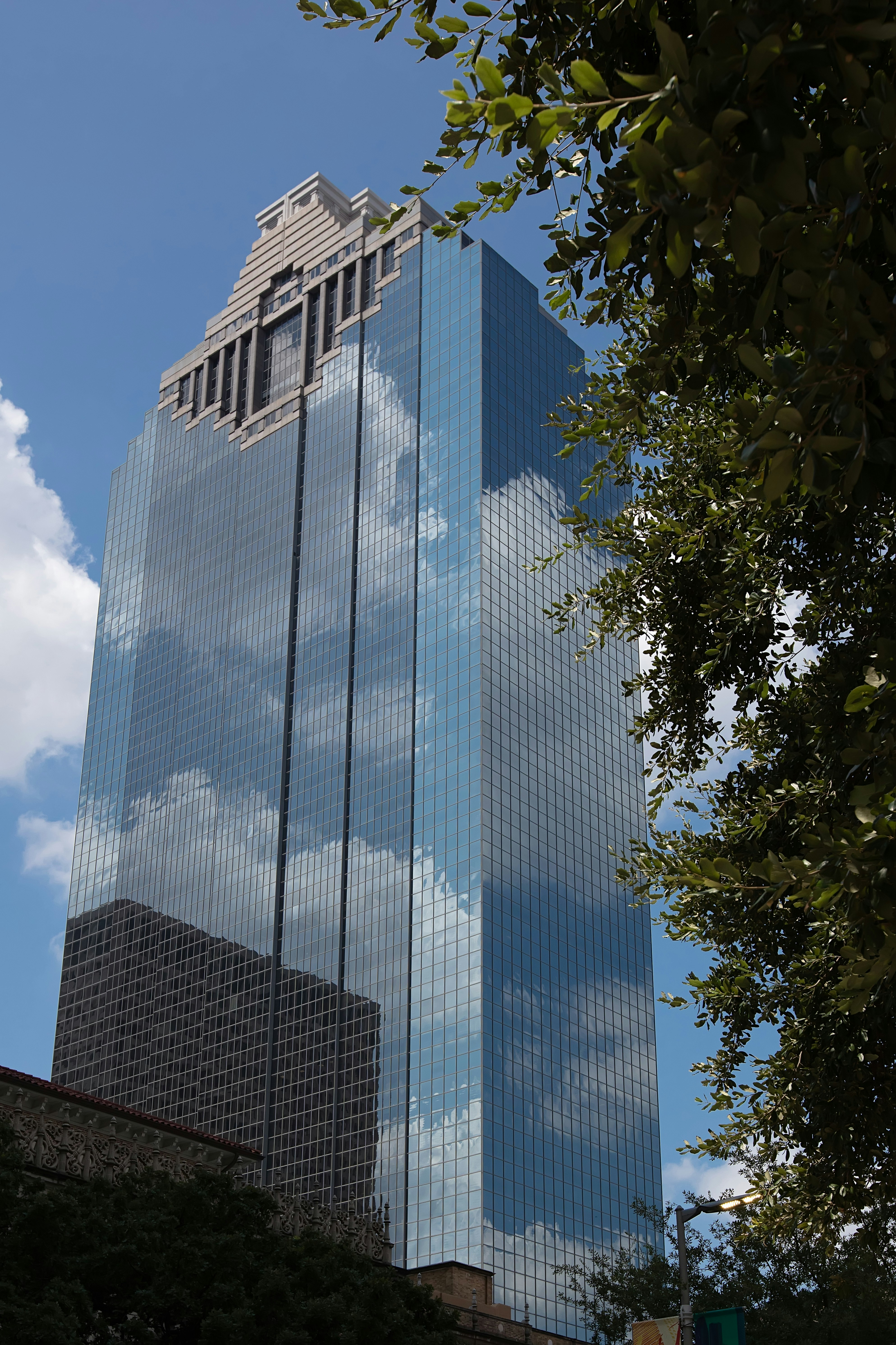 green tree beside blue glass building during daytime