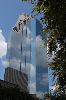 green tree beside blue glass building during daytime