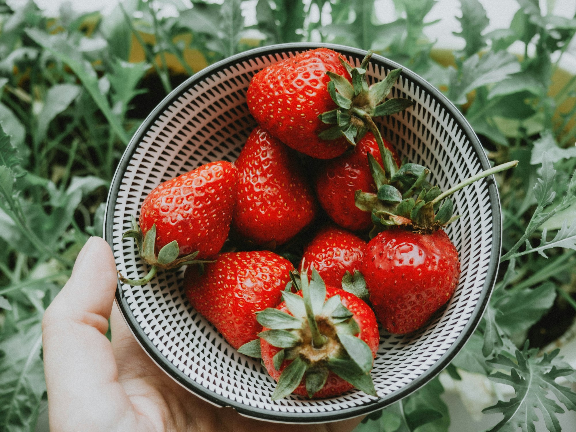 Cozinhar com Alimentos de Abril