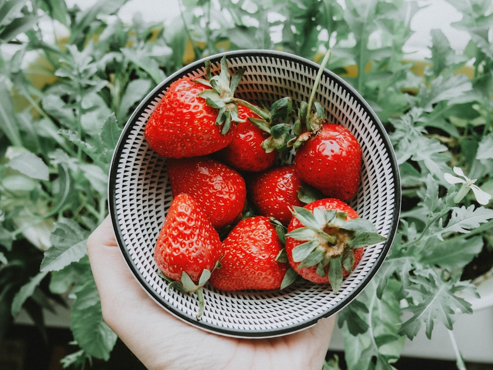 fragole su ciotola in acciaio inox