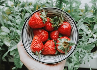 strawberries on stainless steel bowl