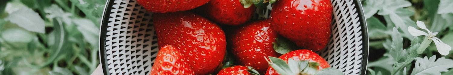 strawberries on stainless steel bowl