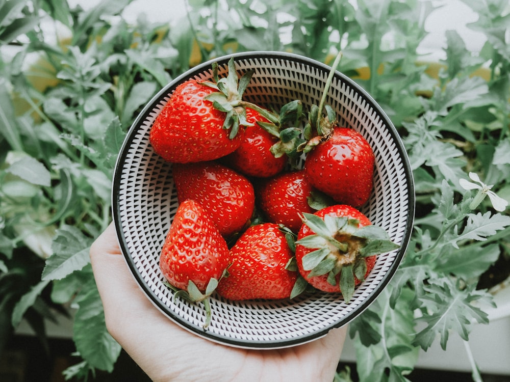 strawberries on stainless steel bowl