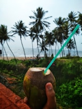 A hand holding a fresh coconut with a blue straw, set against a background of tall palm trees and an ocean view. The scene captures a tropical vibe with the beach in the distance under a clear sky.