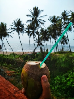 A hand holding a fresh coconut with a blue straw, set against a background of tall palm trees and an ocean view. The scene captures a tropical vibe with the beach in the distance under a clear sky.
