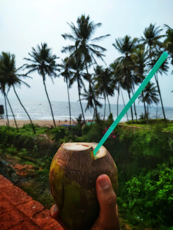 A smiling family enjoying fresh coconut water together outdoors under a sunny sky with palm trees.