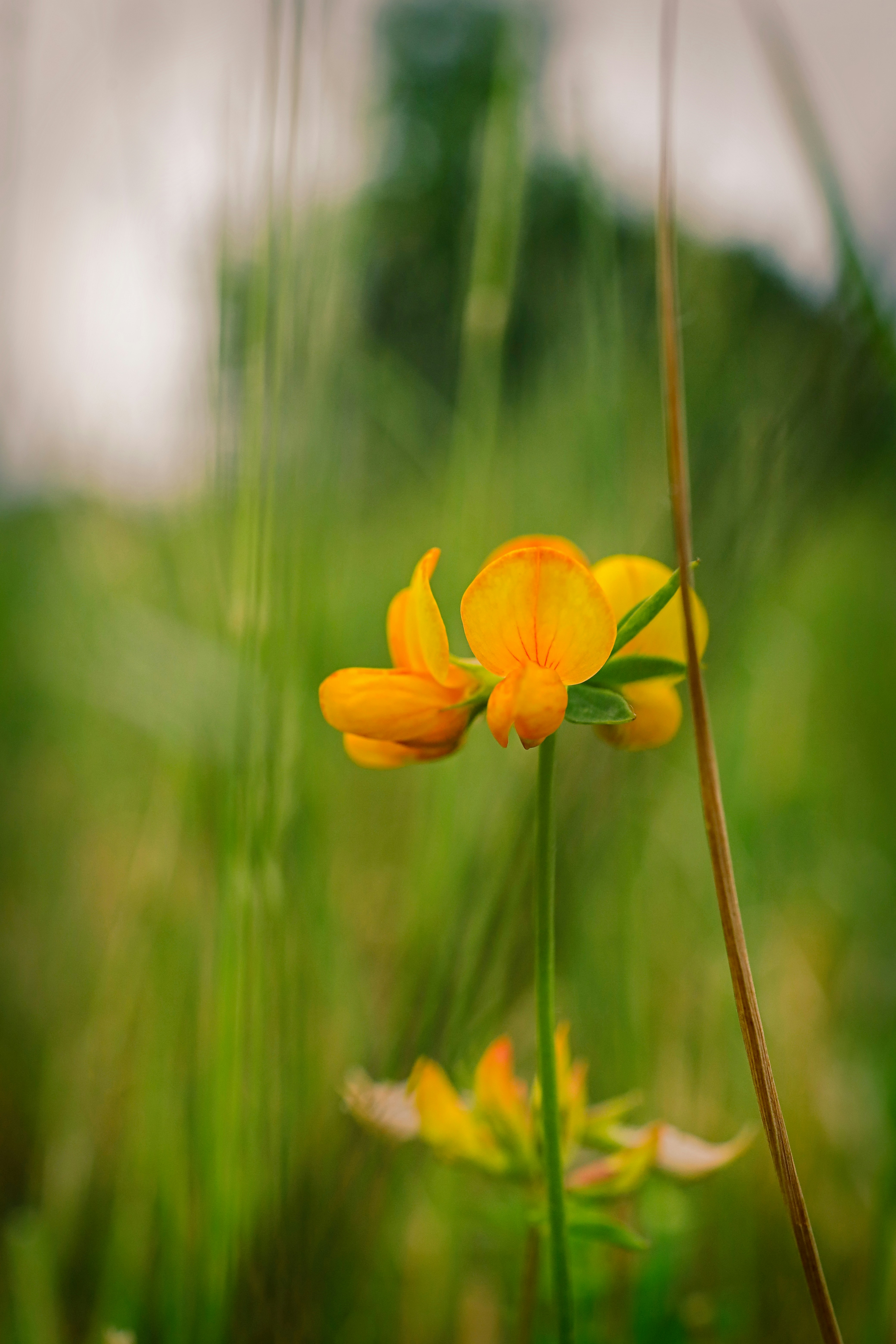Photo by grievek1610begur