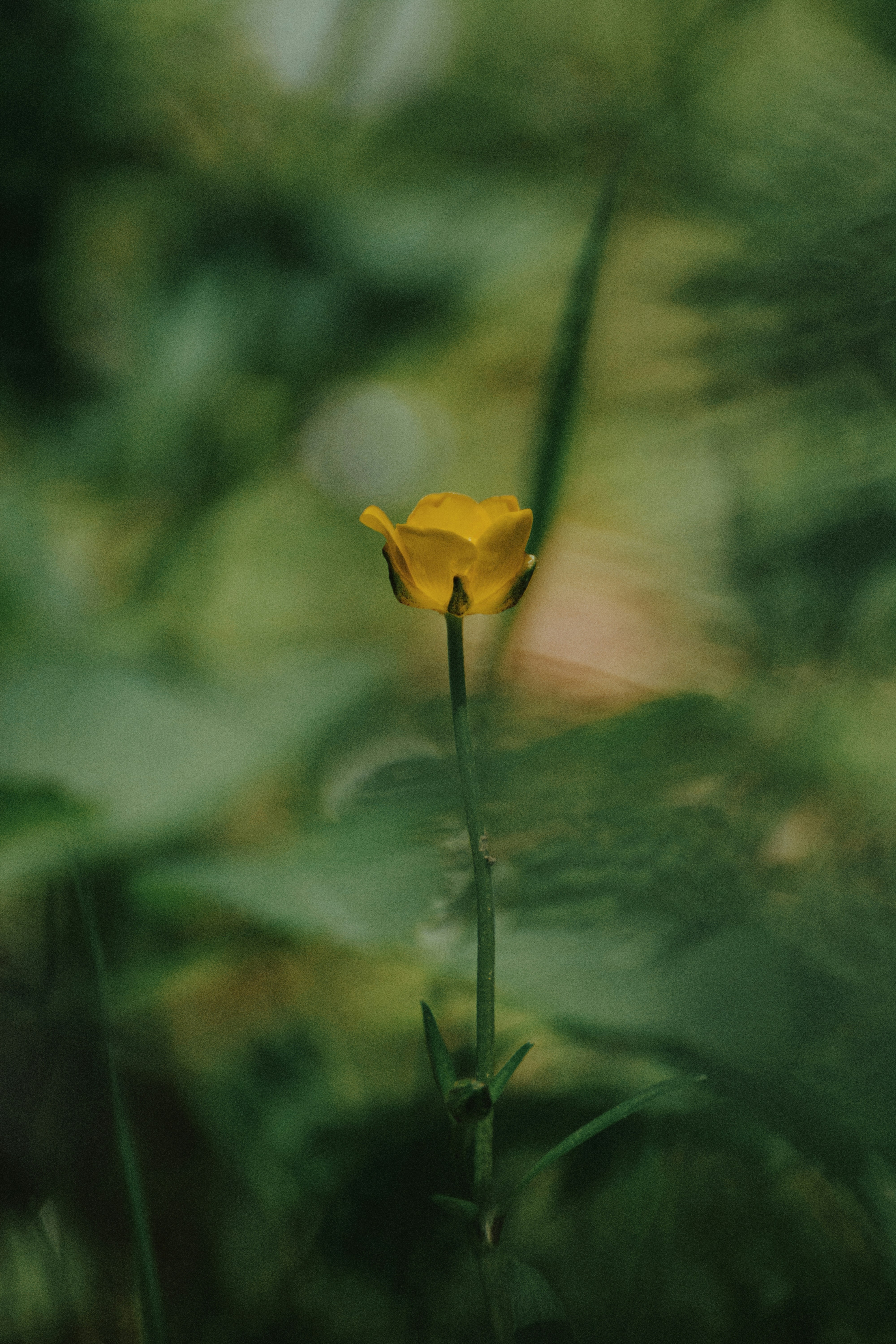 Photo by punkidu