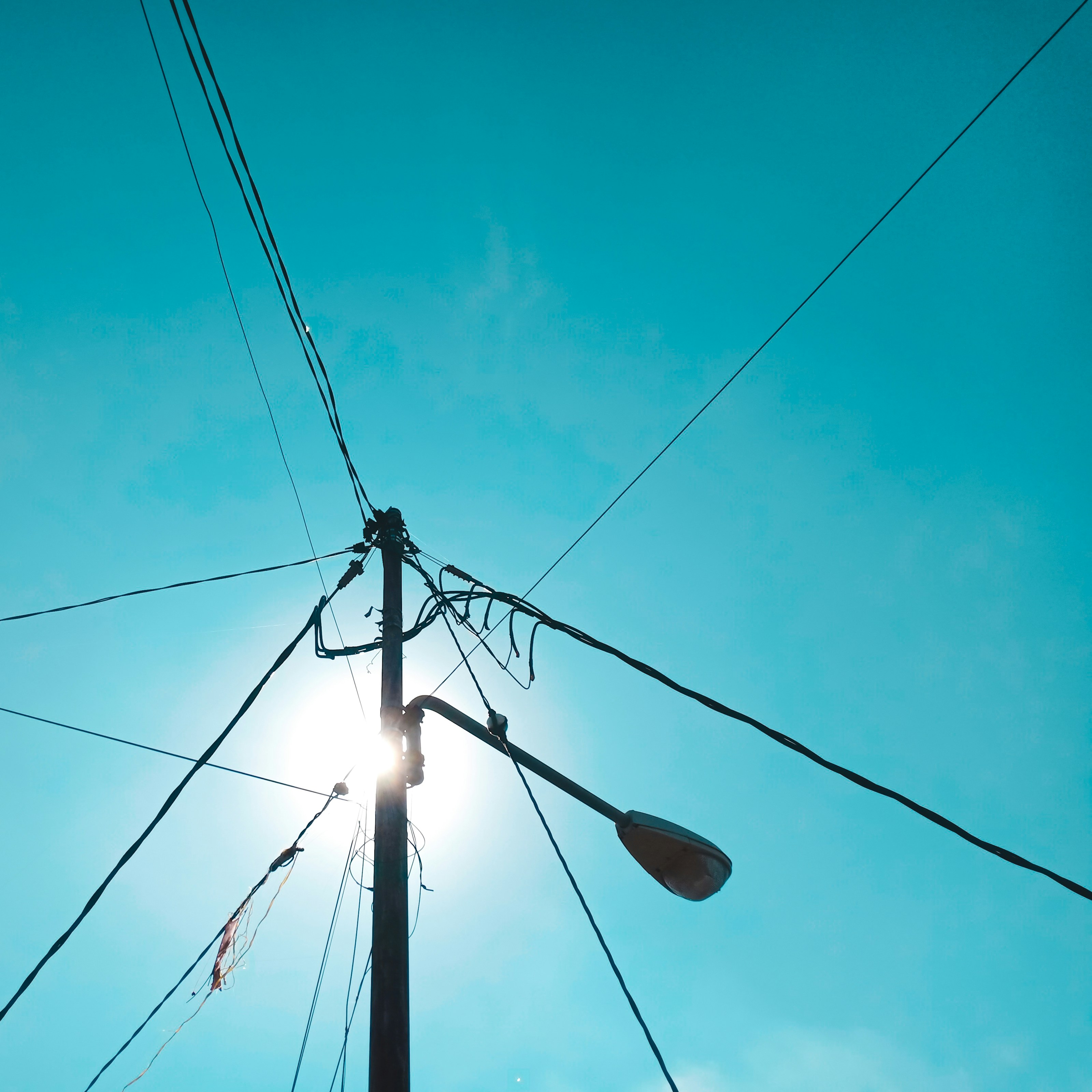 Photo by hybridnighthawk