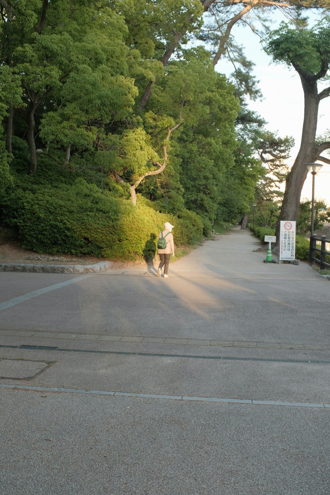man in green shirt and brown shorts walking on gray asphalt road during daytime