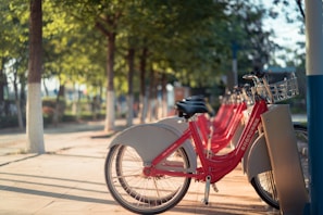 A row of sleek e-bikes parked at the Zapponeta velostation on a sunny day