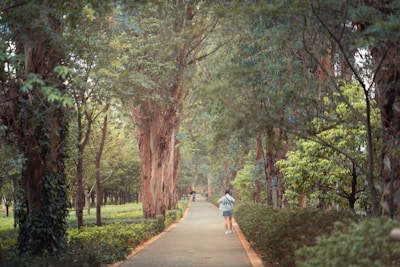 A caregiver and client enjoying a peaceful walk outside surrounded by lush greenery.